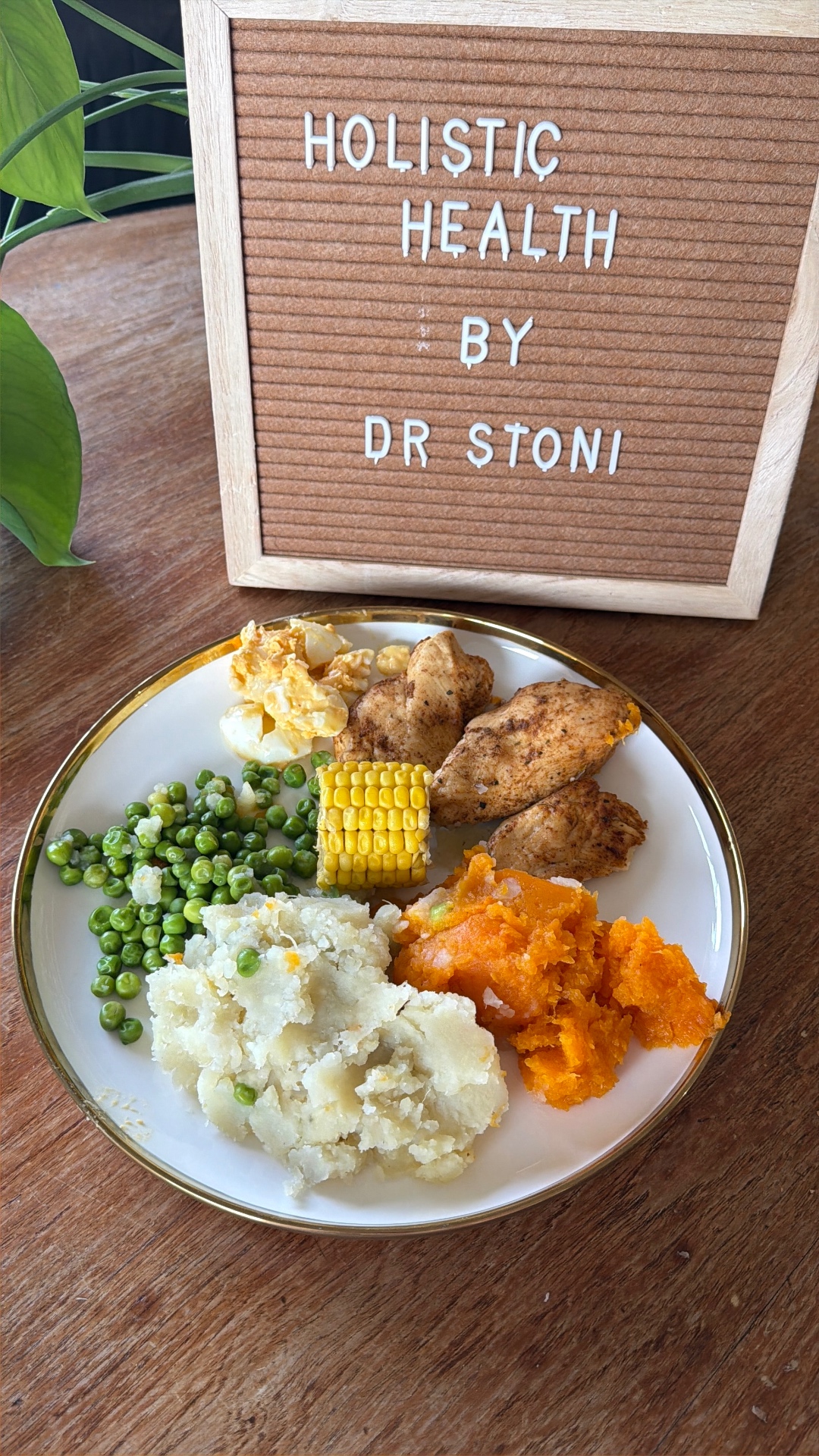 Balanced Holistic Health by Dr. Stoni plate